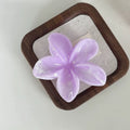 Violetinė